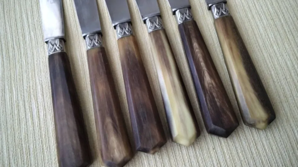 Coffret de 6 couteaux à fromage anciens Inox et corne Bovine GAG
