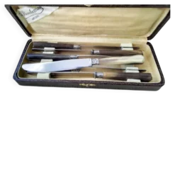 Coffret de 6 couteaux à fromage anciens Inox et corne Bovine GAG