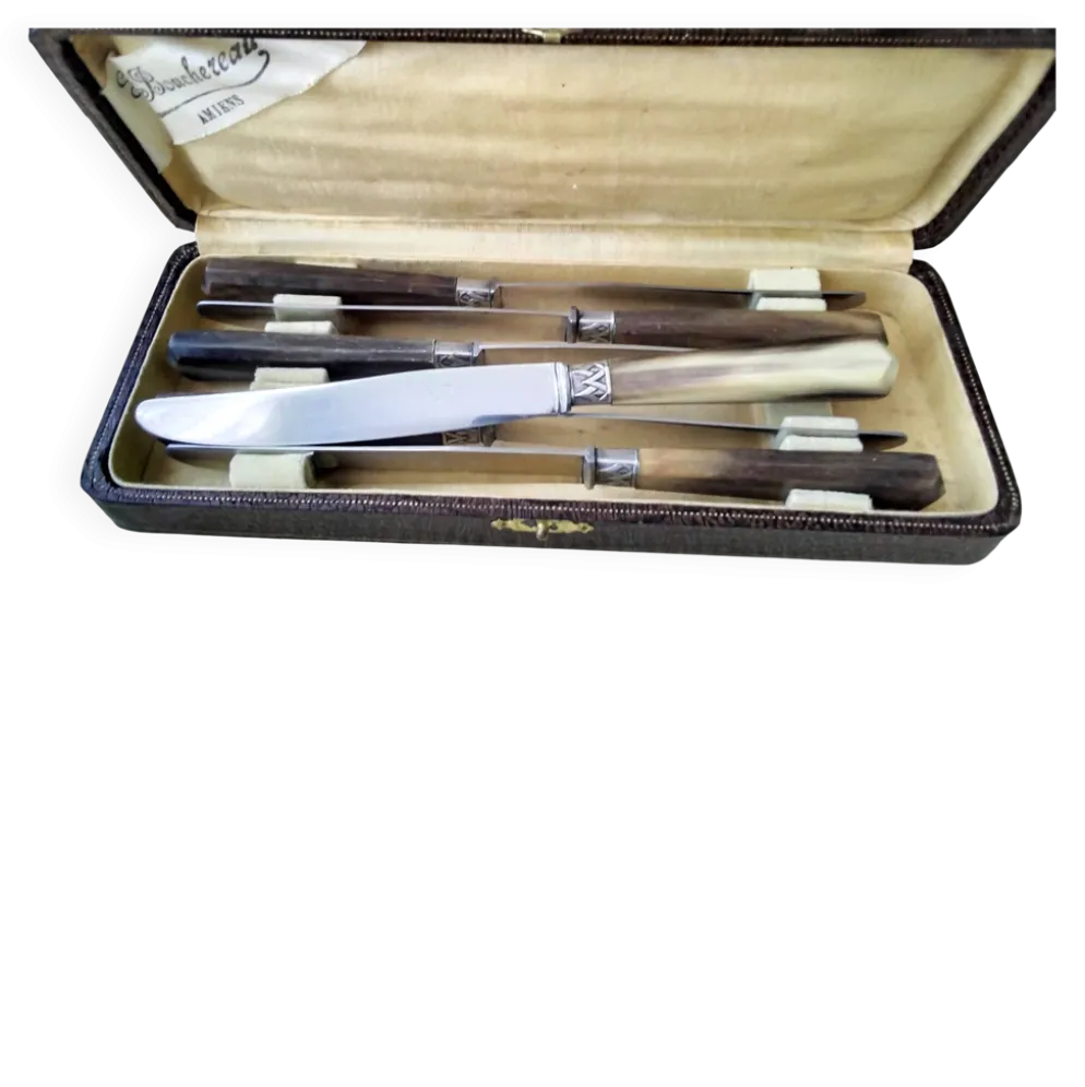 Coffret de 6 couteaux à fromage anciens Inox et corne Bovine GAG