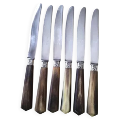 Coffret de 6 couteaux à fromage anciens Inox et corne Bovine GAG