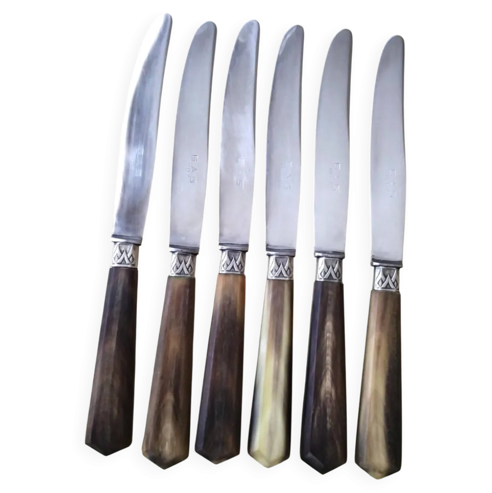Coffret de 6 couteaux à fromage anciens Inox et corne Bovine GAG