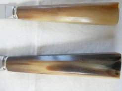 Coffret de 2 couteaux 12 grand 12 petits marche en corne Art Déco