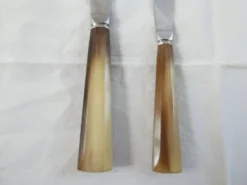 Coffret de 2 couteaux 12 grand 12 petits marche en corne Art Déco