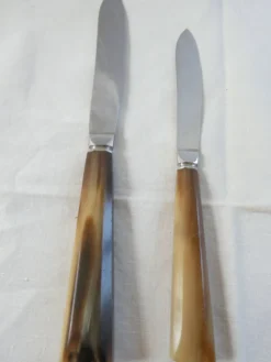 Coffret de 2 couteaux 12 grand 12 petits marche en corne Art Déco