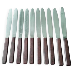Coffret de 10 couteaux vintage manches en bakélite brune