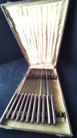 Coffret de 10 couteaux vintage manches en bakélite brune