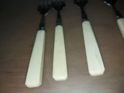 Coffret de 12 fourchettes à poisson
