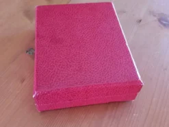 Coffret de 12 petites fourchettes (dessert) inox orfèvrerie Devouge Dupont
