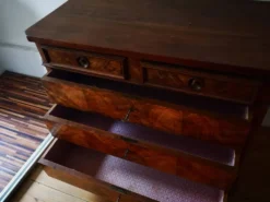Commode Louis-Philippe en loupe de noyer, XIXe siècle