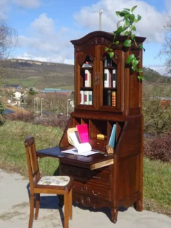 Commode, secrétaire, bibliothèque: meuble 3 en 1