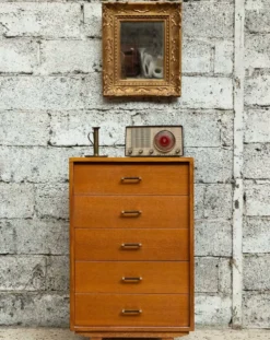 Commode, semainier, chiffonnier vintage de style scandinave