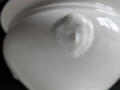 Confiturier à porcelaine blanche à pâtes de lions et mascarons.XIX e