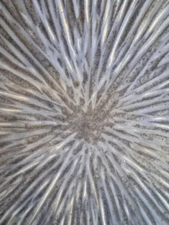 Coupe danoise en céramique LEHMANN, années 60
