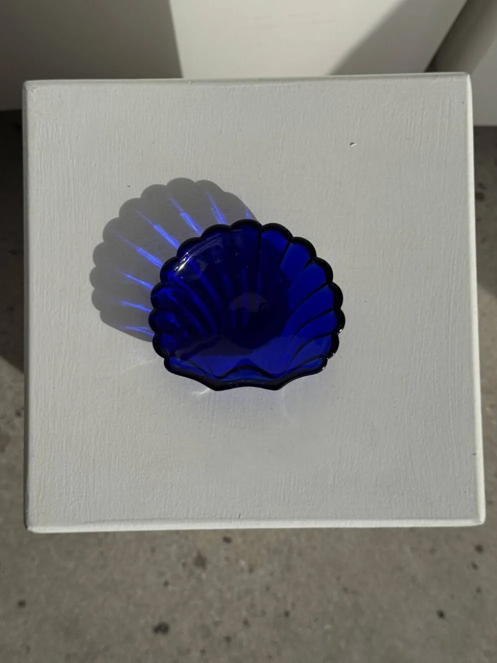 Coupelle coquille en verre bleu D10