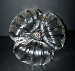 Coupe polylobée art nouveau en verre moulé forme coquille 1900-1910