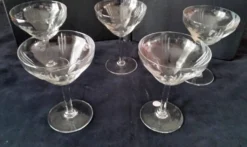 5 Coupes à champagne Vintage en verre Décor gravé