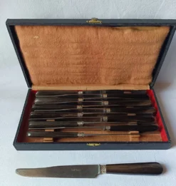couteaux ancien Noalhat mary art nouveau virole métal argenté coffret servi
