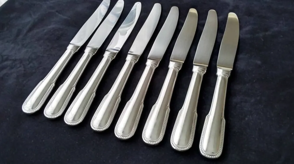 8 Couteaux de table Acier inoxydable Guy Degrenne Décor Perlé