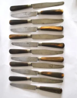12 couteaux de table en corne et lame en acier forgé PV Paris, 1900