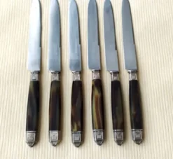 6 Couteaux de table vintage Pradel