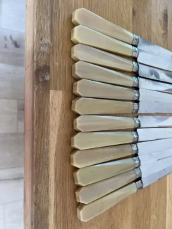 12 couteaux en galathite art déco