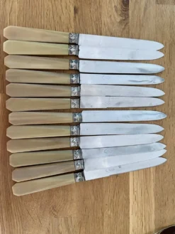 12 couteaux en galathite art déco