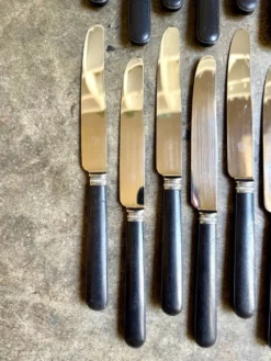 12 couteaux à entremet en bois noirci