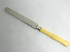 12 couteaux à fruits, dessert, entremets, lames argent gravées.