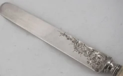 12 couteaux à fruits, dessert, entremets, lames argent gravées.
