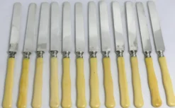 12 couteaux à fruits, dessert, entremets, lames argent gravées.