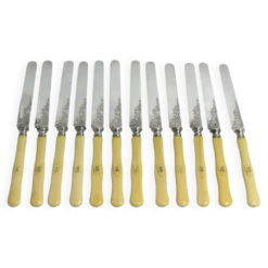 12 couteaux à fruits, dessert, entremets, lames argent gravées.