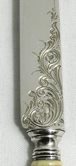12 couteaux à fruits, dessert, entremets, lames argent gravées.