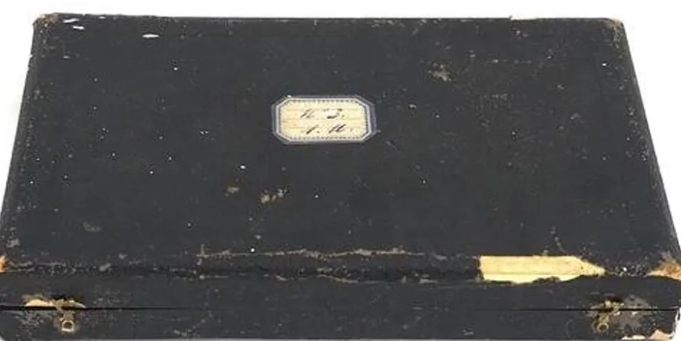 12 couteaux à fruits, lames et manches argent Minerve, guillochés, Napoléon III.