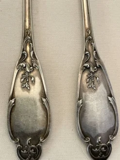 12 couverts en argent Alphonse Debain avec son écrin