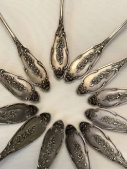 12 couverts en argent Alphonse Debain avec son écrin