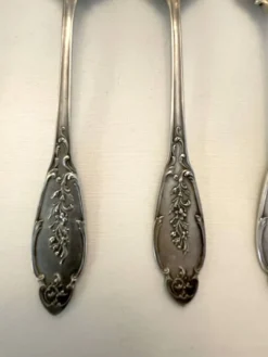 12 couverts en argent Alphonse Debain avec son écrin