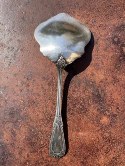 Cuillère à fraises ou salade de fruits ancienne Art Nouveau en métal argent