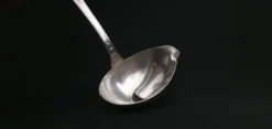 Cuillère à sauce gras/maigre