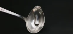 Cuillère à sauce gras/maigre