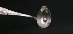 Cuillère à sauce gras/maigre