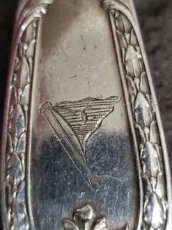 Cuillère à saupoudrer vintage en excellent état