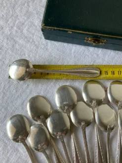 12 cuillères à glace en métal argenté Ercuis, modèle Tolède