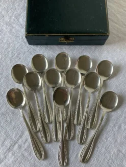 12 cuillères à glace en métal argenté Ercuis, modèle Tolède