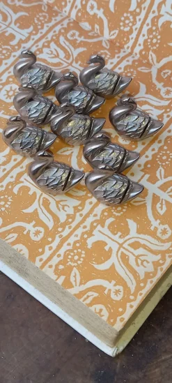 Cygne porte noms