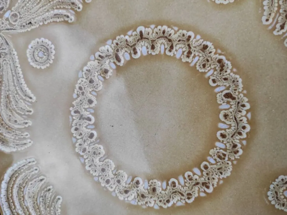 Dessous de plat bois et céramique