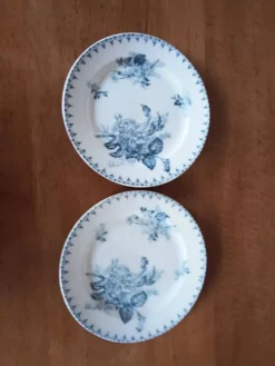 Deux assiettes plates anciennes Sarreguemines