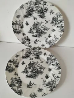 Duo d’assiettes noir et blanc façon toile de Jouy