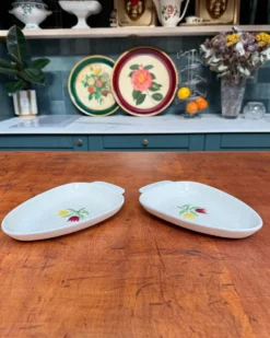 Duo de raviers Salins Crocus