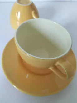 Duo de tasses et sous-tasses Pagnossin Treviso