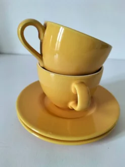 Duo de tasses et sous-tasses Pagnossin Treviso
